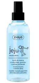 ziaja-jeju-tonik-do-twarzy-w-sprayu-z-nuta-miety
