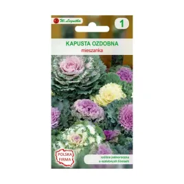 kapusta-ozdobna-nasiona-tradycyjne-w-legutko