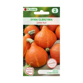dynia-hokkaido-uchiki-kuri-nasiona-w-legutko