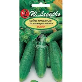 ogorek-gruntowy-konserwowy-monika-nasiona-warzyw-w-legutko