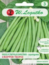 fasola-szparagowa-cropper-teepee-nasiona-w-legutko