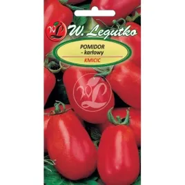 pomidor-gruntowy-karlowy-kmicic-nasiona-w-legutko