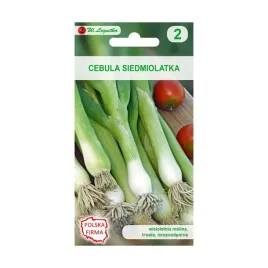 cebula-siedmiolatka-biala-nasiona-w-legutko