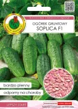 ogorek-soplica-nasiona-pnos-cykl-rozwojowy-rosliny-jednoroczna