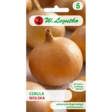 cebula-wolska-nasiona-w-legutko