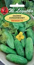 ogorek-gruntowy-do-kwaszenia-basza-3g-najlepszy