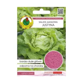 salata-maslowa-glowiasta-justyna-nasiona-inkrustowane-pnos