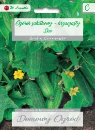 ogorek-gruntowy-salatkowy-dar-nasiona-w-legutko