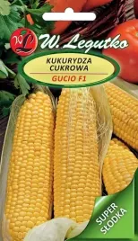 kukurydza-cukrowa-gucio-f1-nasiona-w-legutko