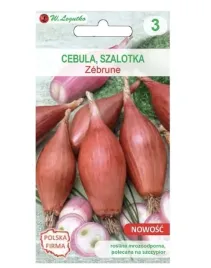 cebula-szalotka-zebrune-nasiona-w-legutko