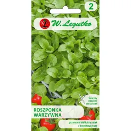 roszponka-warzywna-valerianella-locusta-nasiona-warzyw-w-legutko