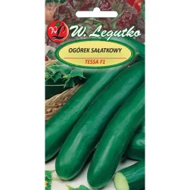ogorek-gruntowy-salatkowy-tessa-f1-nasiona-warzyw-w-legutko