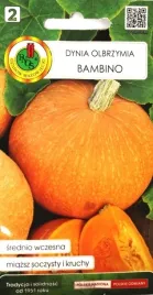 dynia-olbrzymia-bambino-nasiona-pnos