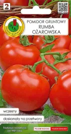 pomidor-gruntowy-rumba-ozarowski-nasiona-pnos