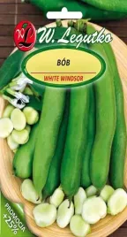 bob-ogrodowy-windsor-bialy-nasiona-50g-w-legutko