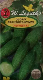 ogorek-konserwowy-partner-nasiona-4g-w-legutko
