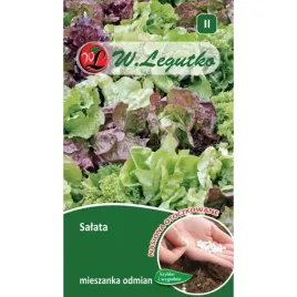 salata-mieszanka-odmian-nasiona-warzyw-w-legutko