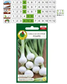 cebula-szczypiorkowa-pompei-nasiona-pnos