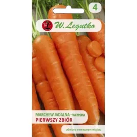 marchew-wczesna-pierwszy-zbior-nasiona-w-legutko