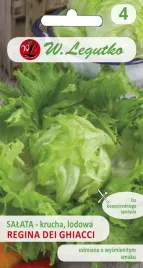 salata-lodowa-krucha-regina-dei-ghiacci-nasiona-w-legutko