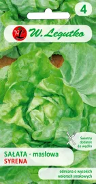 salata-maslowa-glowiasta-syrena-nasiona-w-legutko