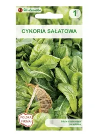 cykoria-lisciowa-di-bruxelles-nasiona-w-legutko
