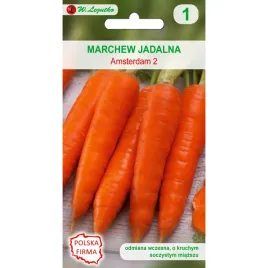 marchew-jadalna-amsterdam-nasiona-w-legutko