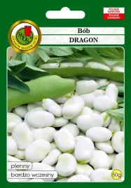 bob-ogrodowy-dragon-nasiona-pnos
