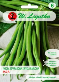 fasola-szparagowa-jaga-nasiona-w-legutko