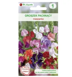 groszek-pachnacy-mieszanka-nasiona-tradycyjne-w-legutko