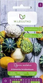 dynia-ozdobna-brodawkowa-cucurbita-nasiona-w-legutko