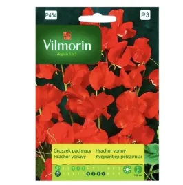 groszek-pachnacy-czerwony-nasiona-tradycyjne-vilmorin