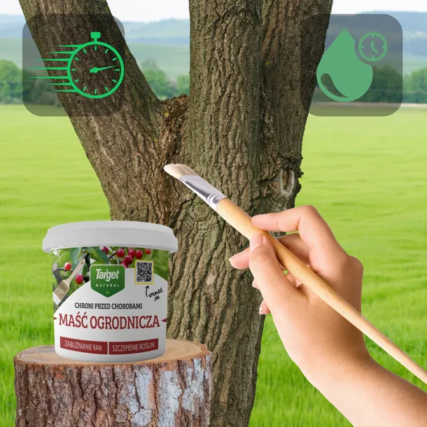 masc-ogrodnicza-350-g-target-rodzaj-srodka-wieloskladnikowy-stan-nowy