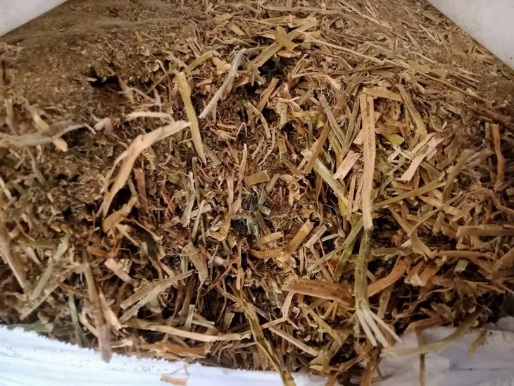 lucerna-balot-20-kg-pasza-dla-koni-krow-owiec-stan-nowy