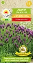 lawenda-francuska-01-g-nasiona-ziola