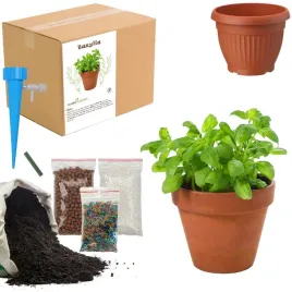 zestaw-do-upraw-bazylia-nasiona-ziemia-doniczka-maly-ogrodnik-bio-eko