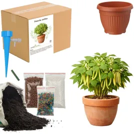 zestaw-do-upraw-fasola-zolta-doniczka-nasiona-ziemia-maly-ogrodnik-bio-eko