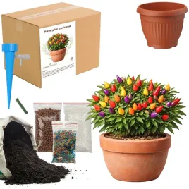 zestaw-do-upraw-papryka-ozdobna-doniczka-nasiona-ziemia-maly-ogrodnik-bio