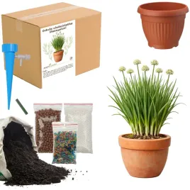 zestaw-do-upraw-cebula-siedmiolatka-szczypiorek-nasiona-maly-ogrodnik-bio