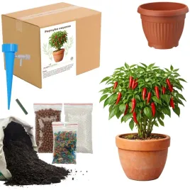 zestaw-do-upraw-papryka-cayenne-doniczka-nasiona-ziemia-maly-ogrodnik-bio
