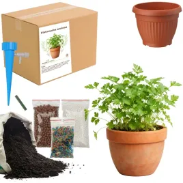 zestaw-do-upraw-pietruszka-doniczka-nasiona-ziemia-maly-ogrodnik-bio
