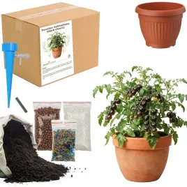 zestaw-do-upraw-pomidor-koktajlowy-blc-doniczka-nasiona-ziemia-ogrodnik-bio