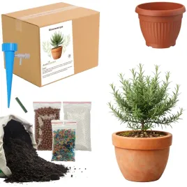 zestaw-do-upraw-rozmaryn-diy-doniczka-nasiona-ziemia-rosliny-ogrodnik-bio