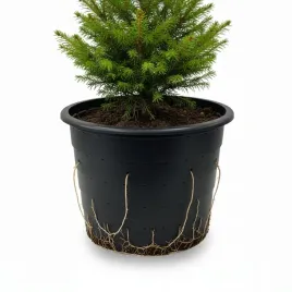 doniczka-plastikowa-azur-26cm-do-uprawy-w-ziemii-grafit-mocna-produkcyjna