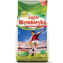 trawa-super-wembley-mocna-sportowa-na-boisko-5kg