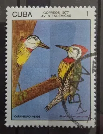 znaczek-fauna-ptaki-dziecioly-cuba-kasowany-r5