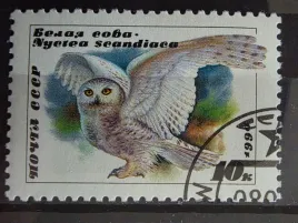 znaczek-fauna-ptaki-drapiezne-sowy-cccp-kasowany-r5