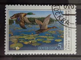 znaczek-fauna-ptaki-wodne-kaczki-cccp-kasowany-r5