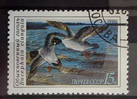 znaczek-fauna-ptaki-wodne-kaczki-cccp-kasowany-r5