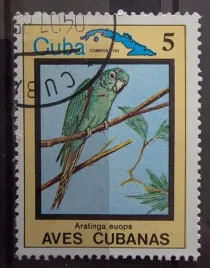 znaczek-fauna-ptaki-papugi-cuba-kasowany-r5